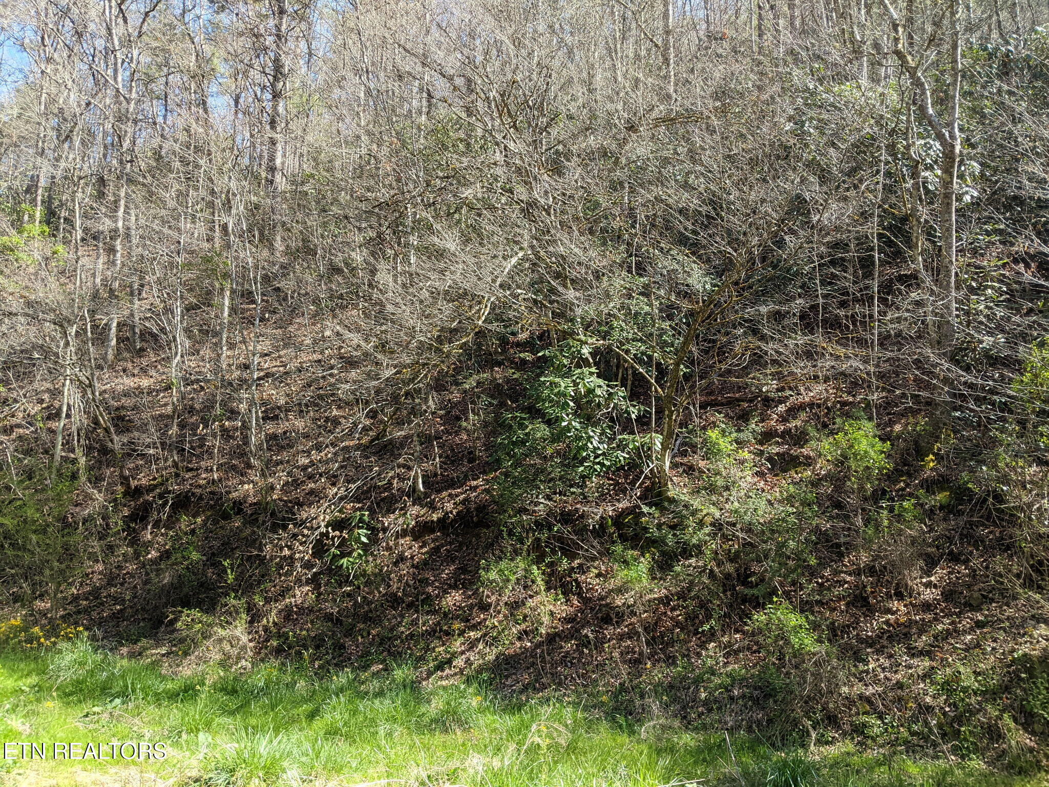 760 Black Branch Road Del Rio TN 37727