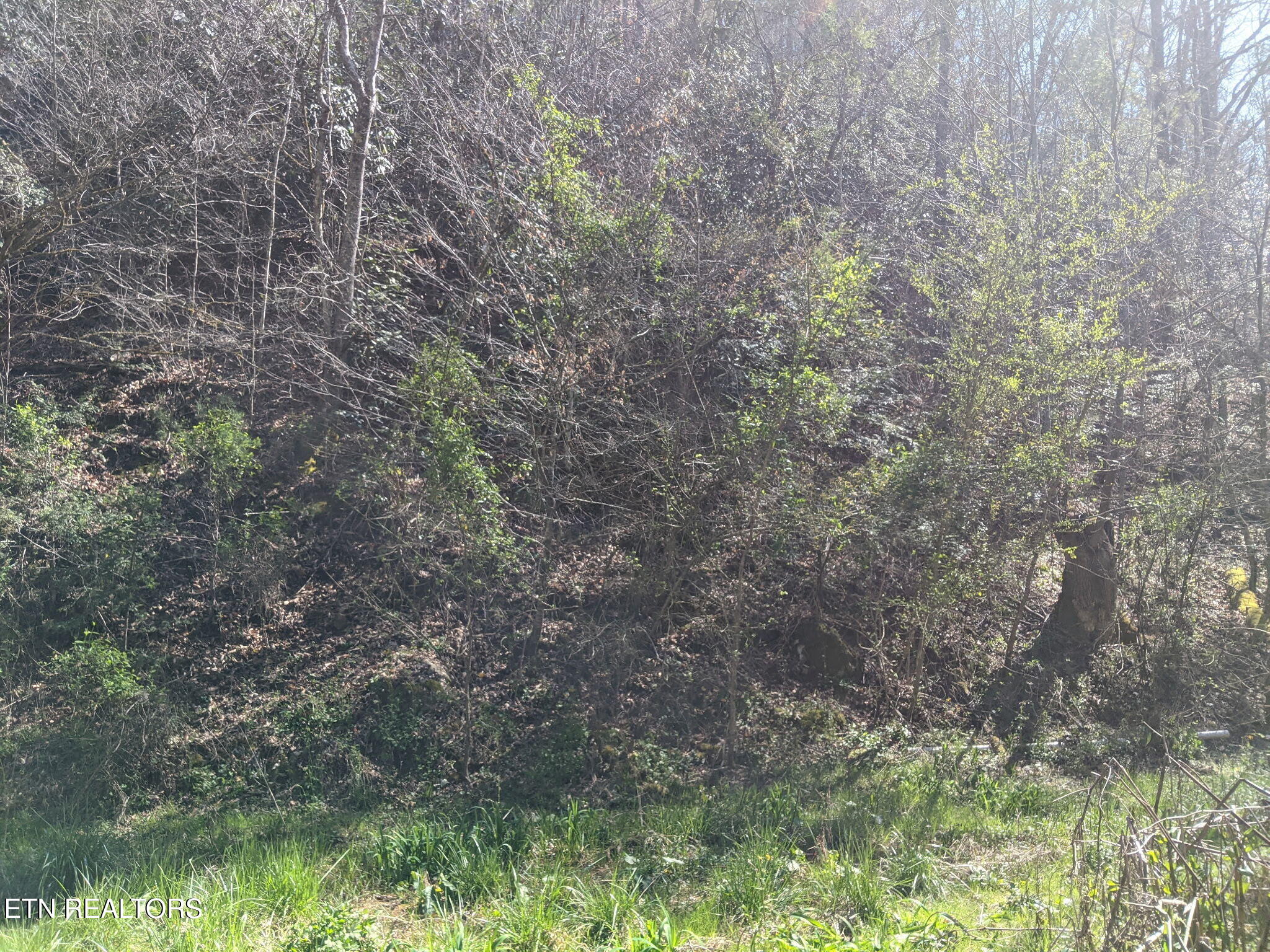 760 Black Branch Road Del Rio TN 37727