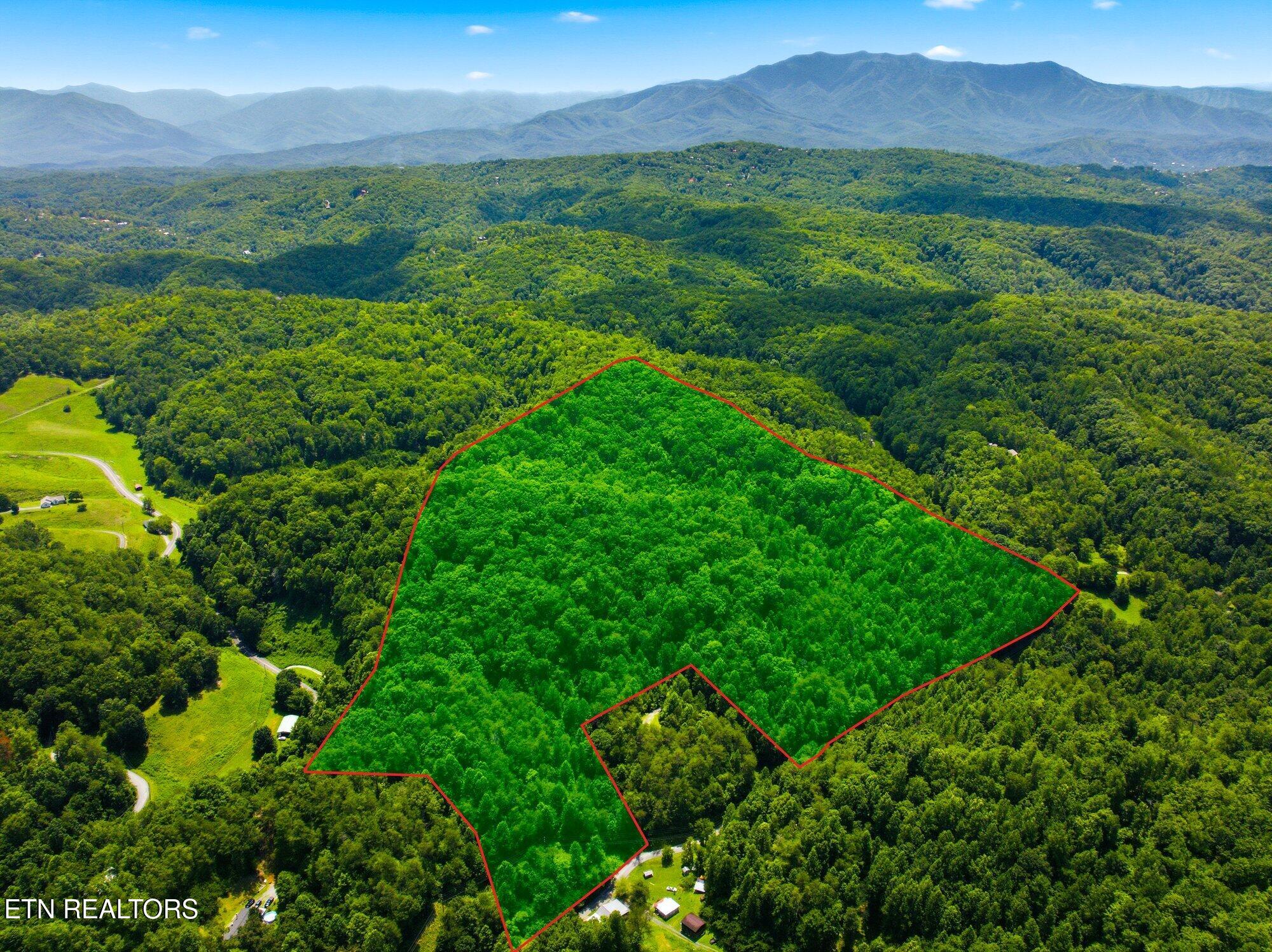 Lot #3 Gnatty Branch Road Sevierville TN 37876