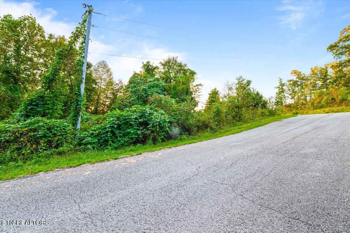 Lot 153 Bridle Way Speedwell TN 37870