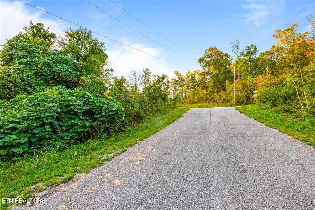 Lot 153 Bridle Way Speedwell TN 37870