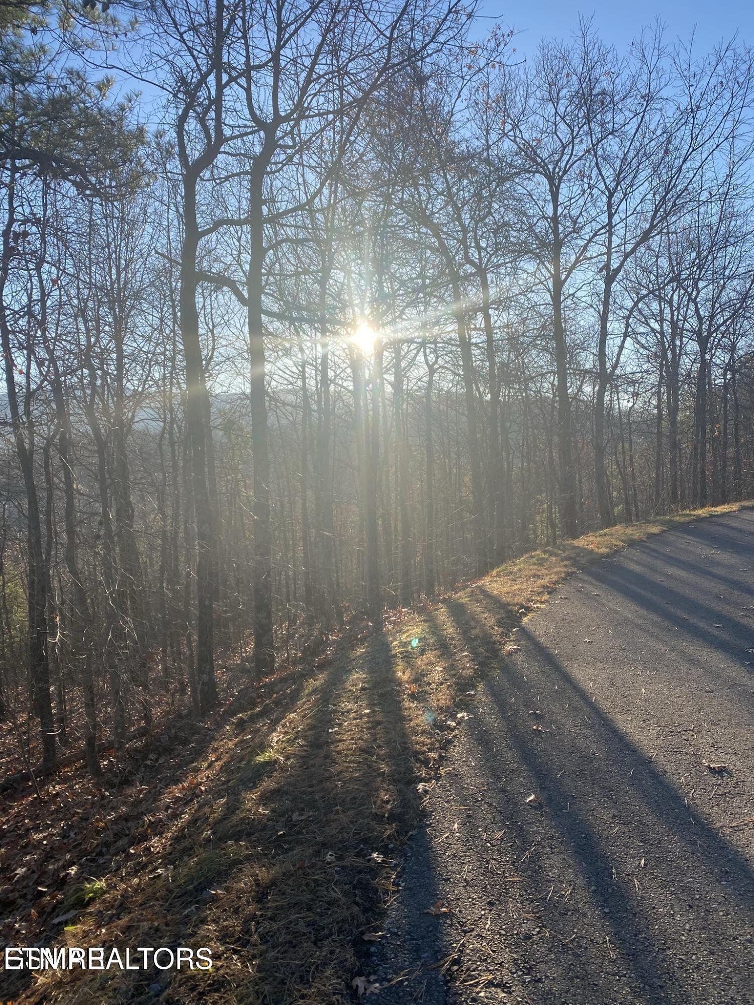 Lightning Bug Way Gatlinburg TN 37738