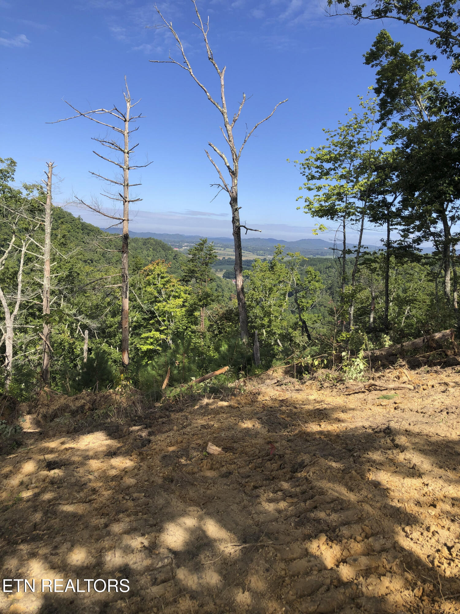 157 Quarry Creek Road Tellico Plains TN 37385