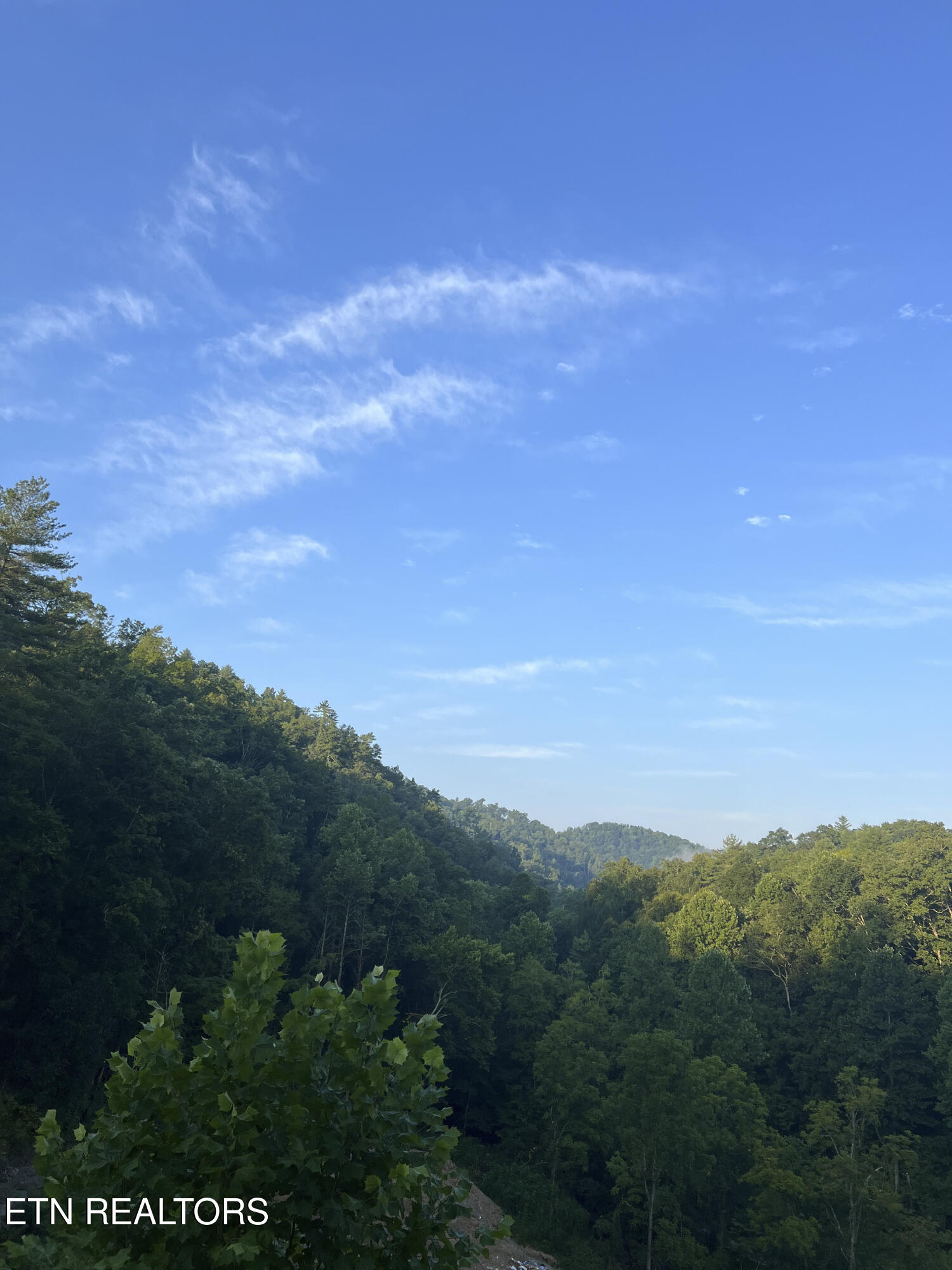 157 Quarry Creek Road Tellico Plains TN 37385