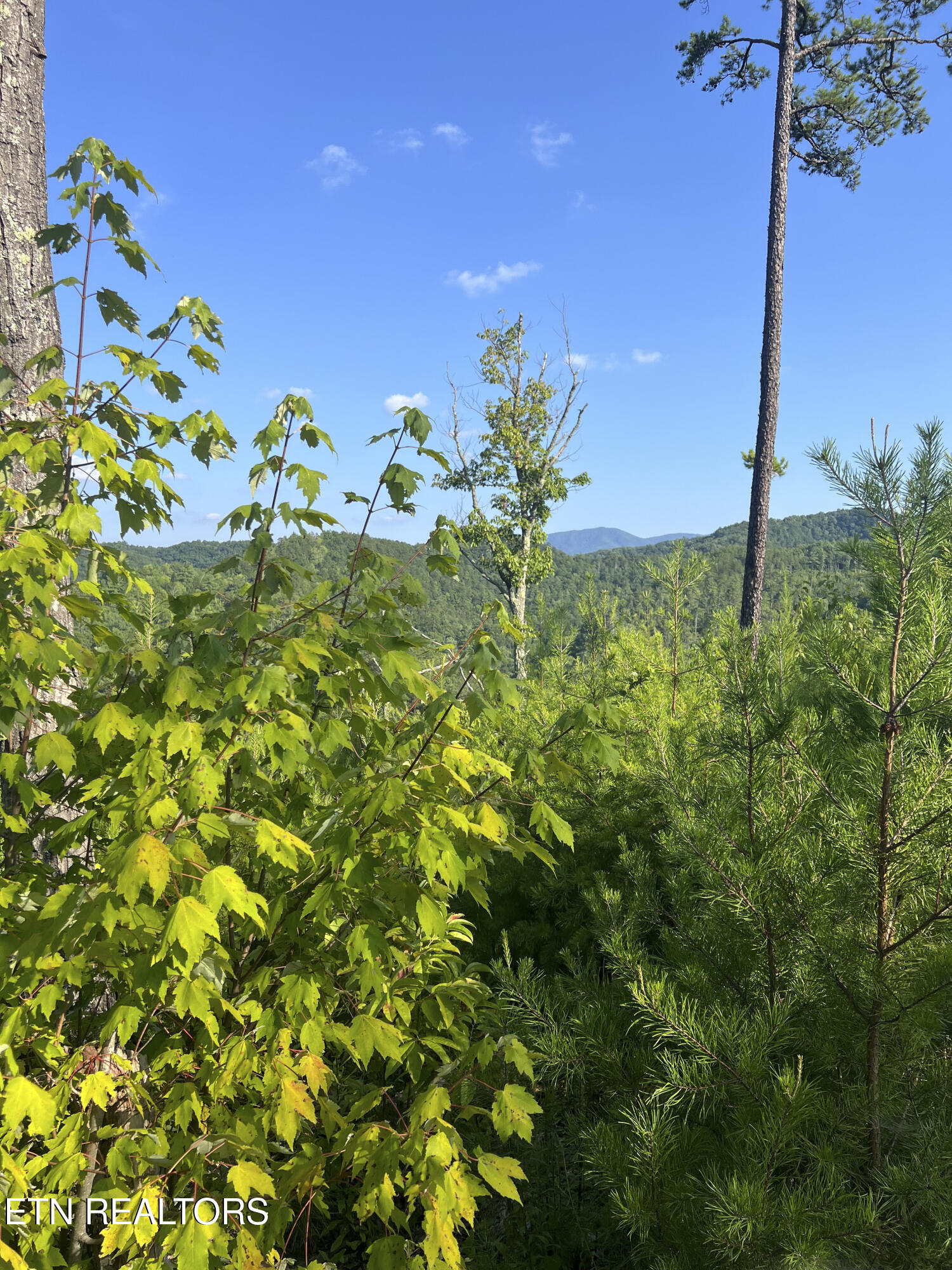 157 Quarry Creek Road Tellico Plains TN 37385