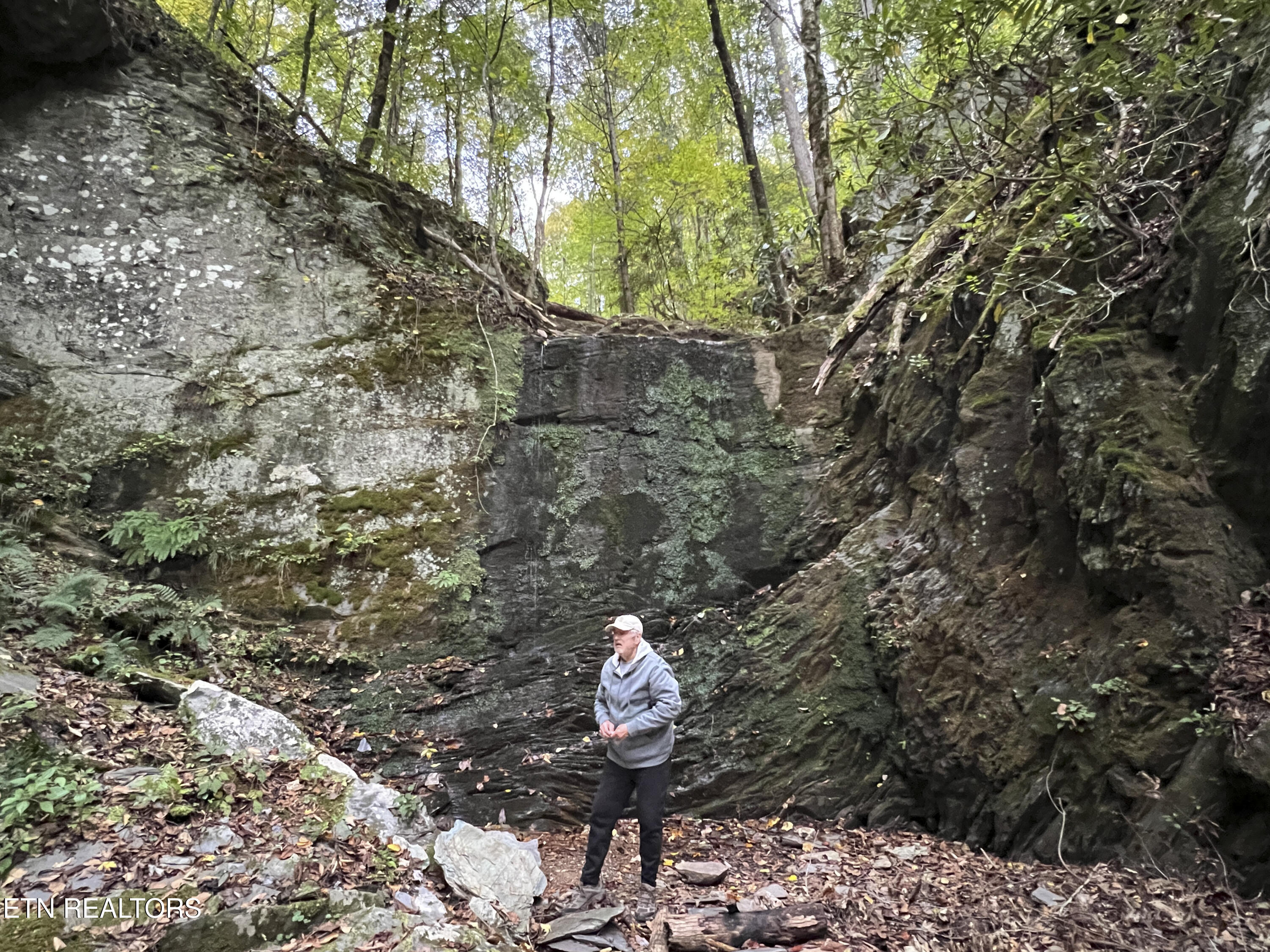 157 Quarry Creek Road Tellico Plains TN 37385