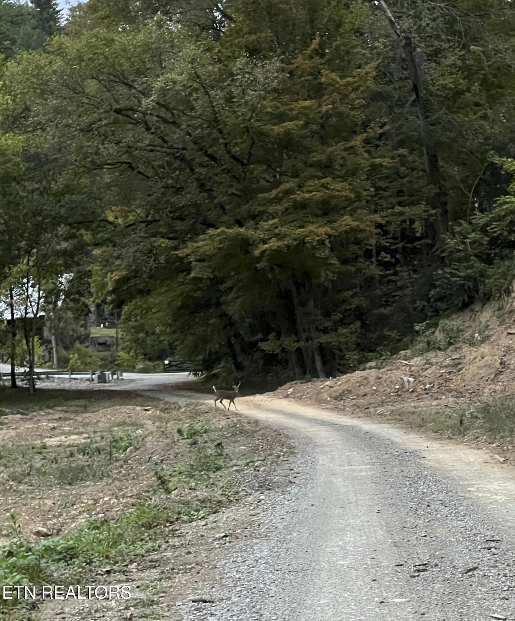 157 Quarry Creek Road Tellico Plains TN 37385