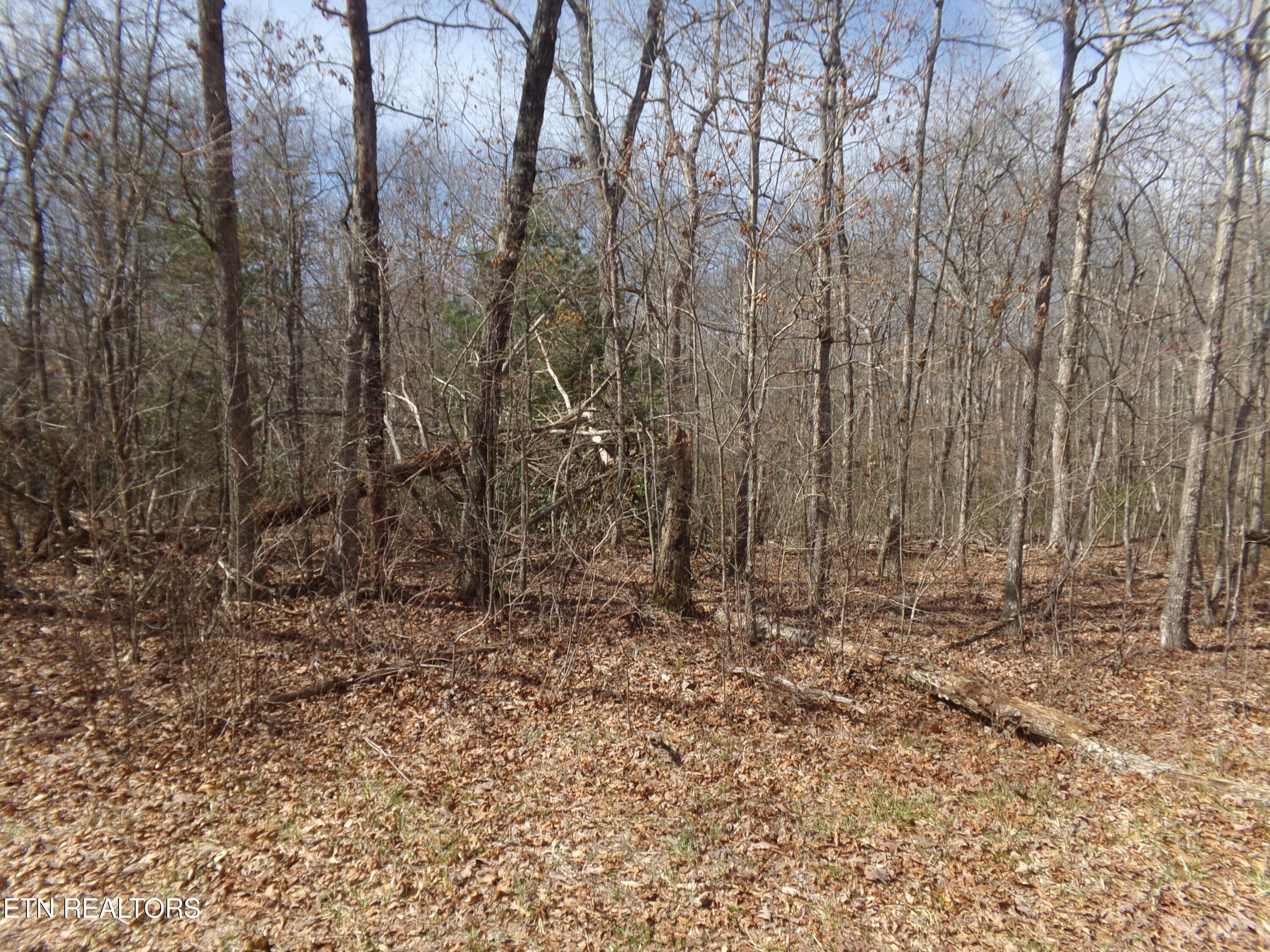 9 Broken Arrow Drive Crossville TN 38572