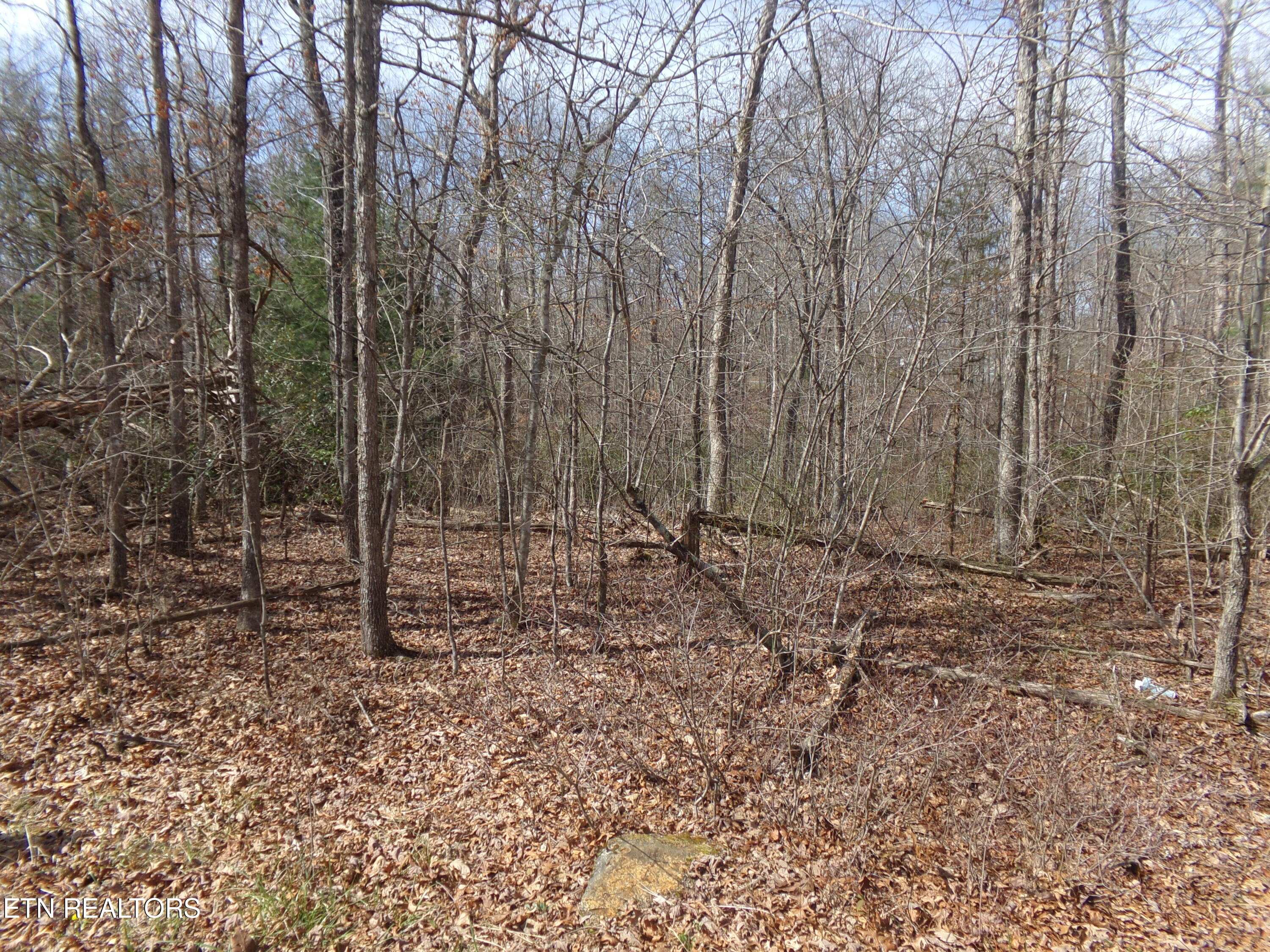 9 Broken Arrow Drive Crossville TN 38572
