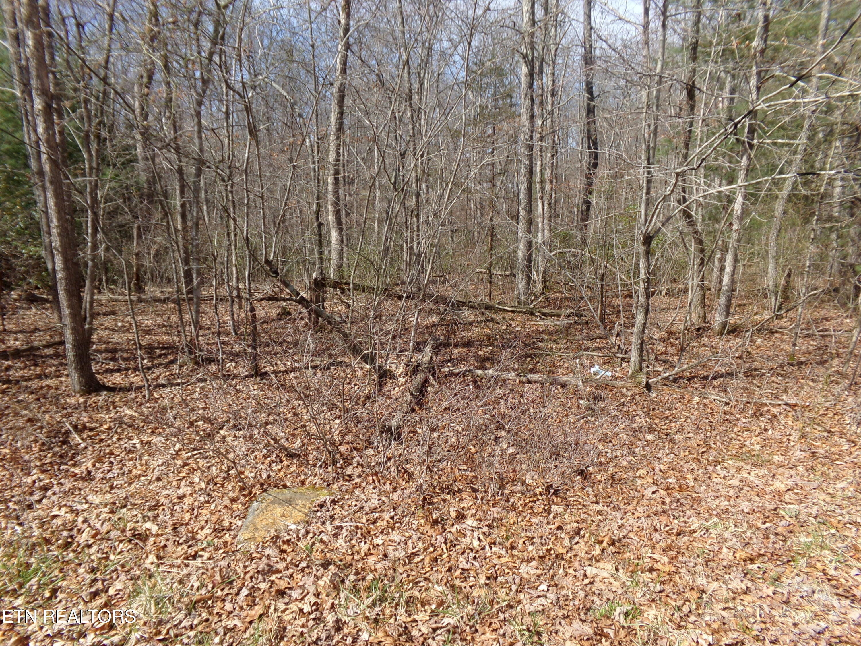 9 Broken Arrow Drive Crossville TN 38572