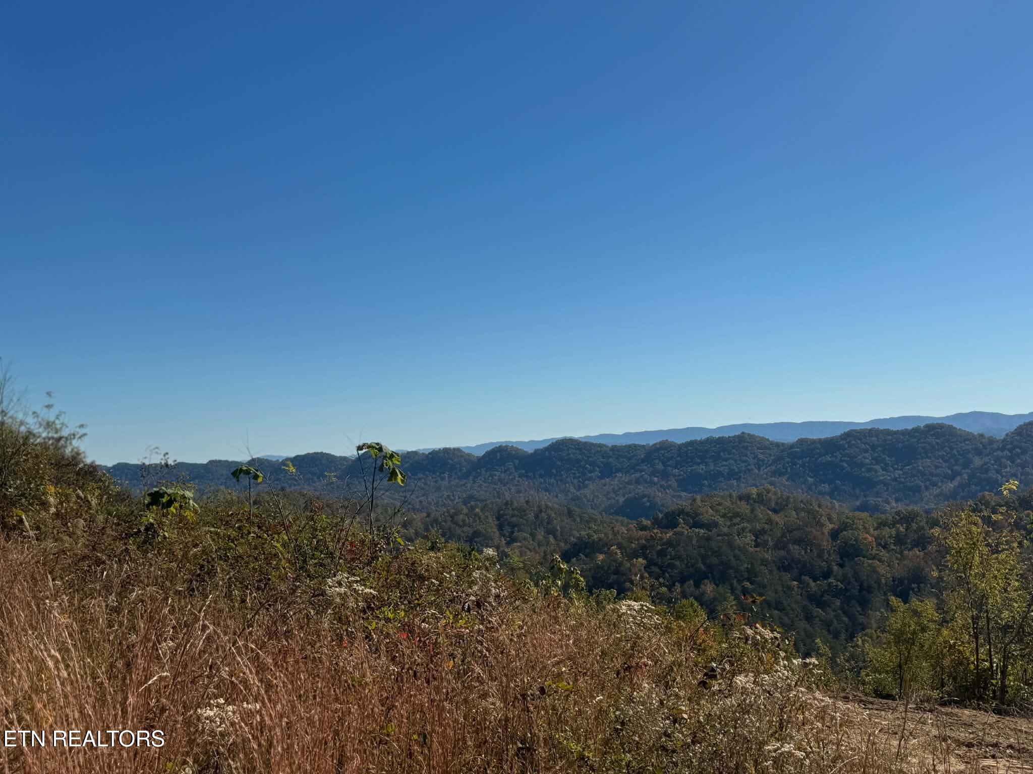 Tower Road Tazewell TN 37879
