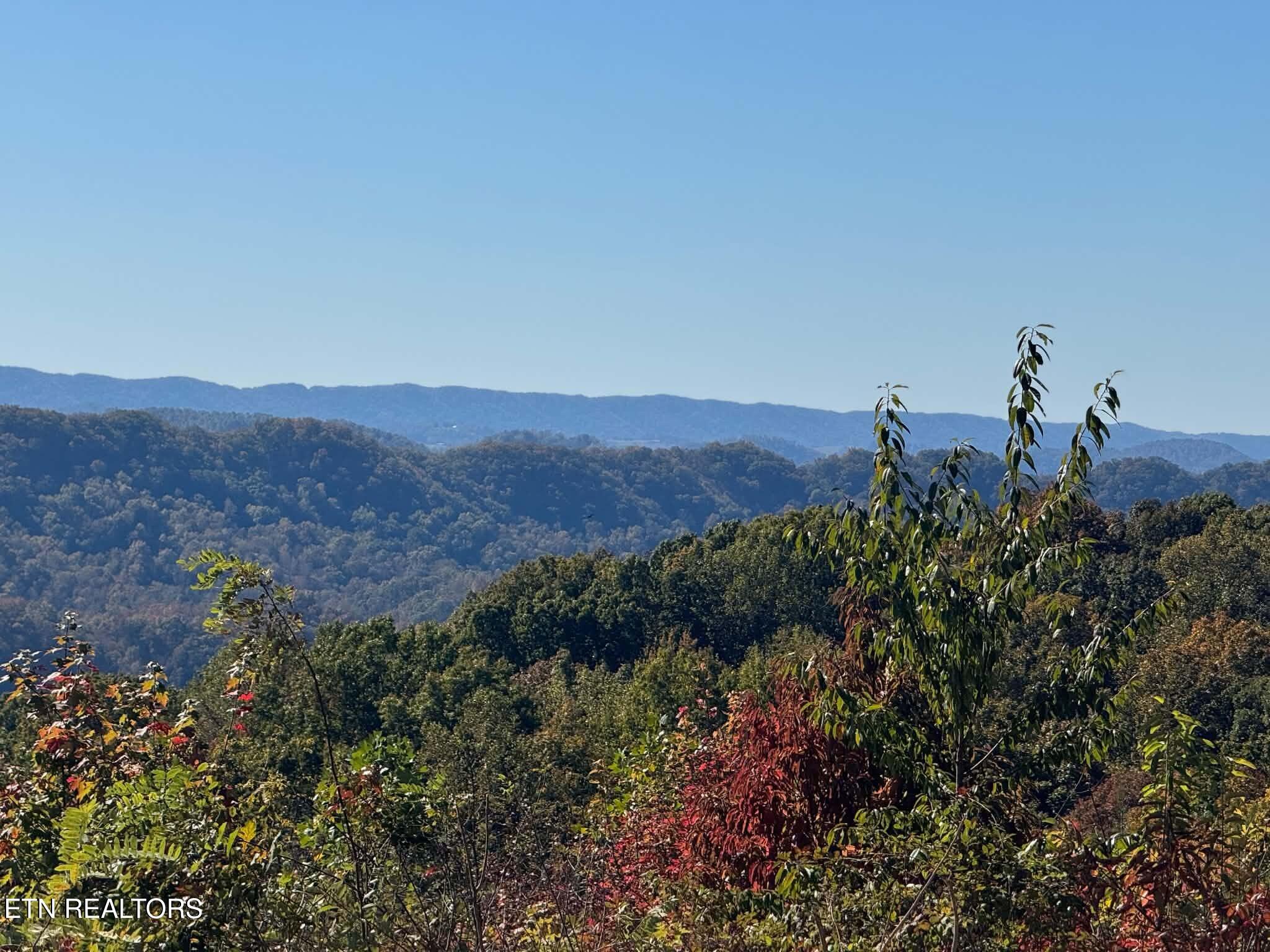 Tower Road Tazewell TN 37879