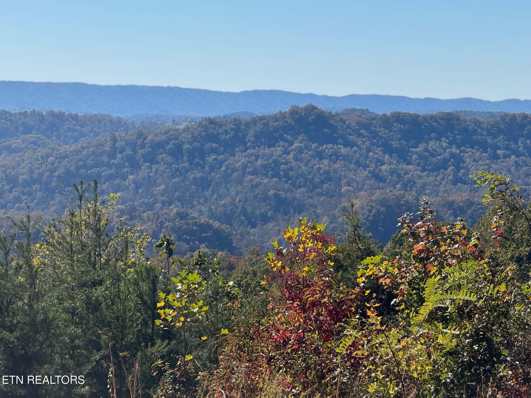 Tower Road Tazewell TN 37879