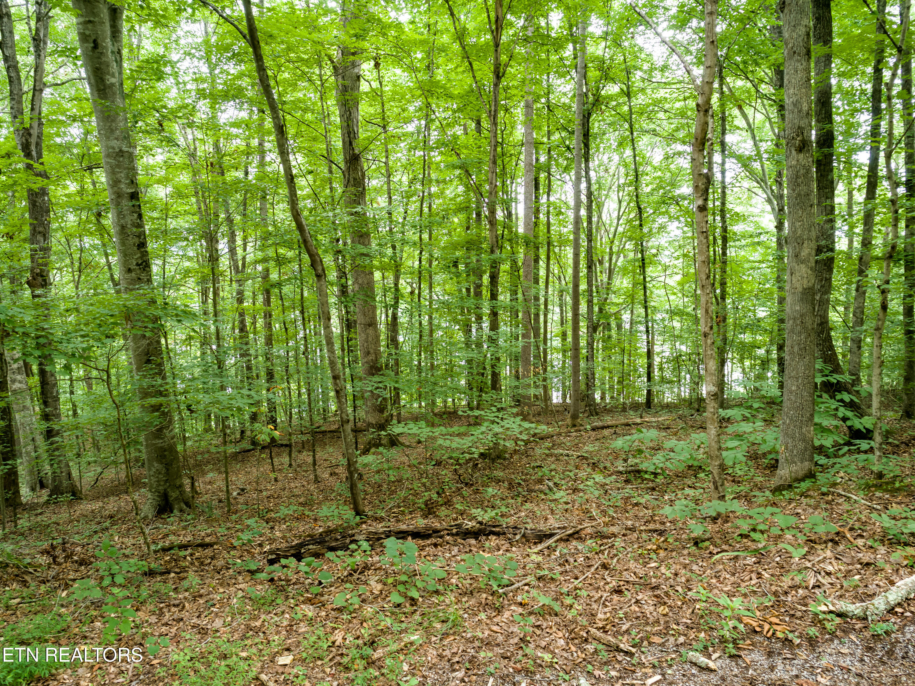 Lot 17 Tumbling Run Road Maynardville TN 37807