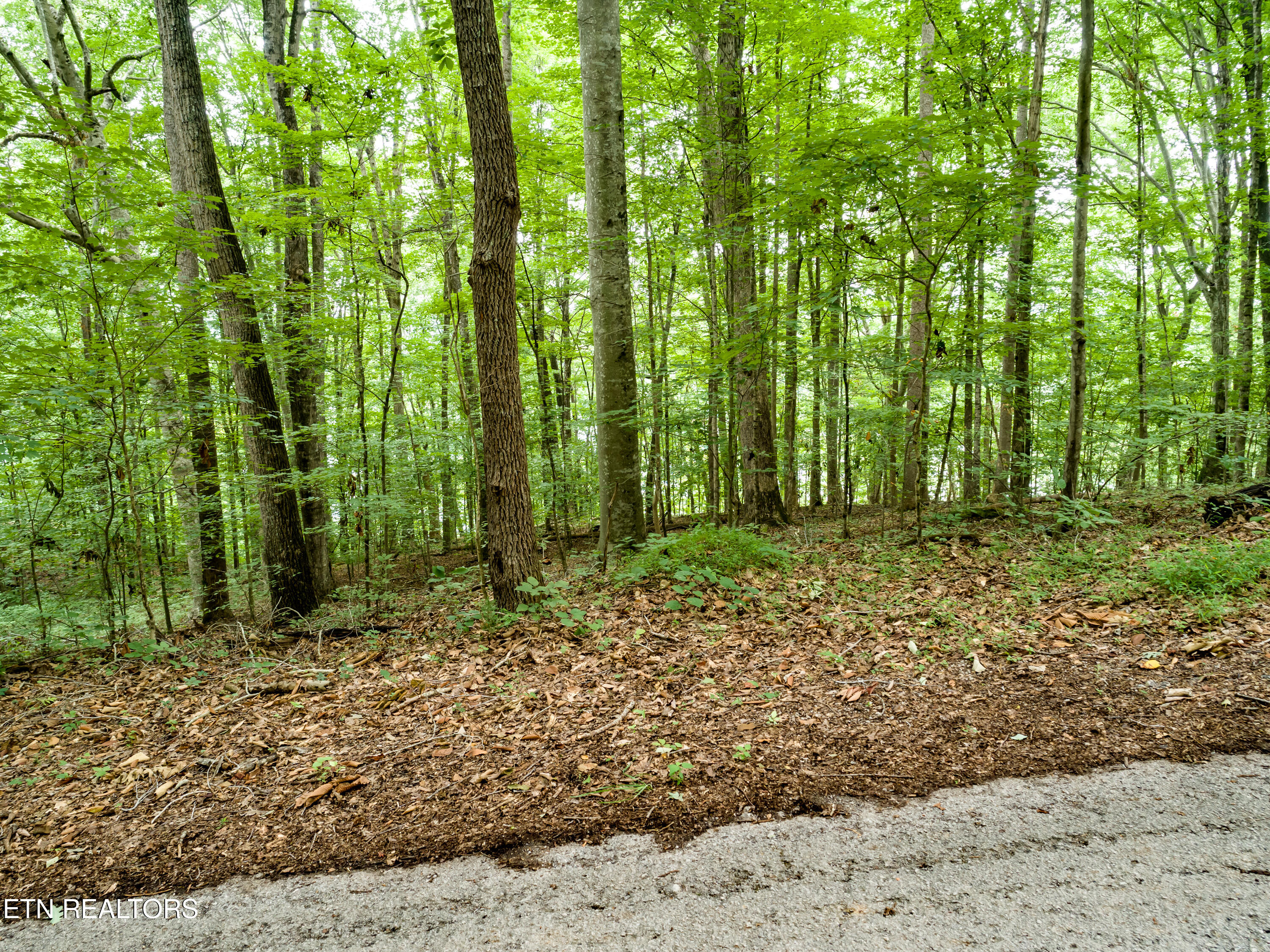 Lot 17 Tumbling Run Road Maynardville TN 37807