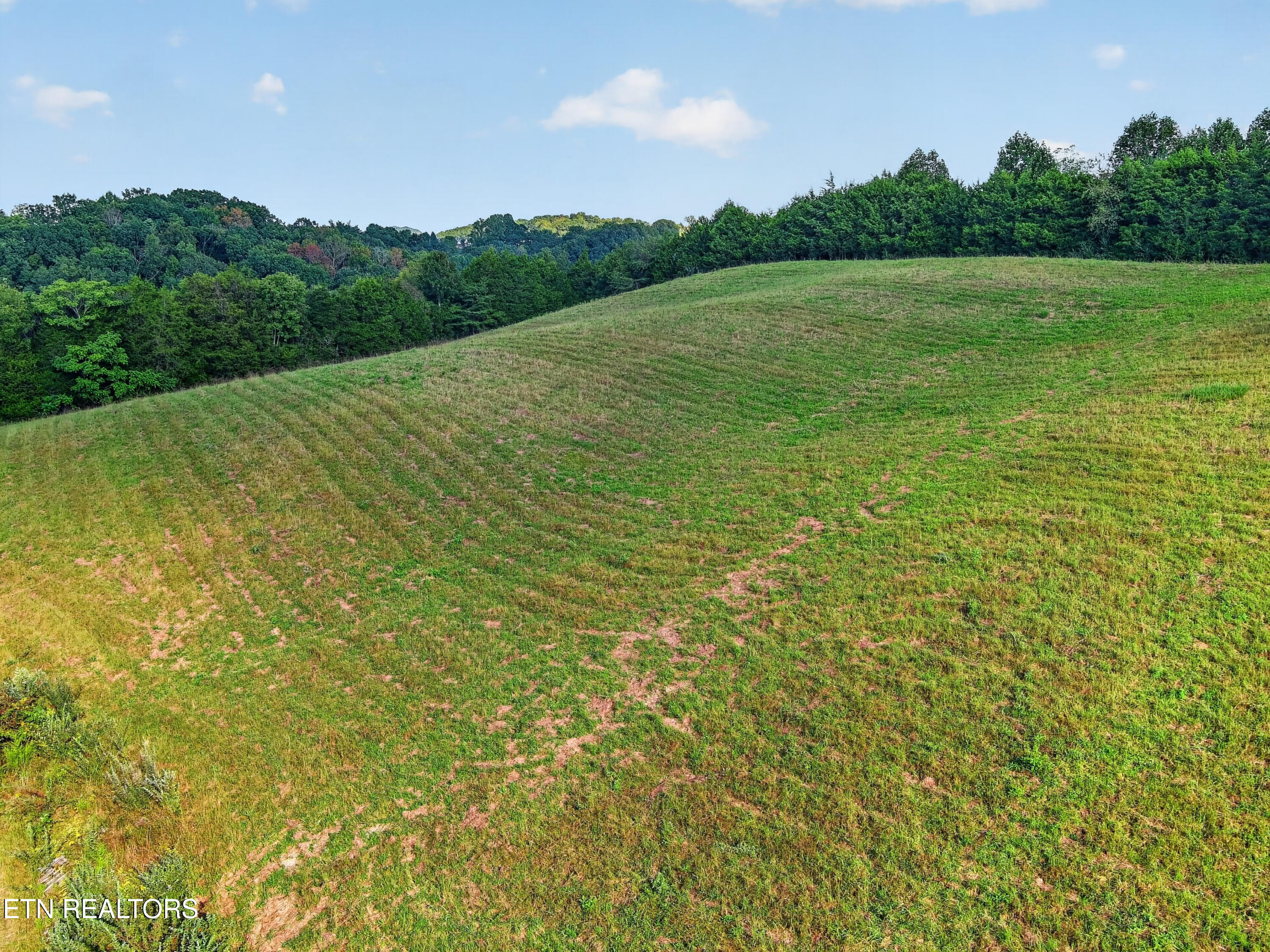 000 Forge Ridge Road Harrogate TN 37752