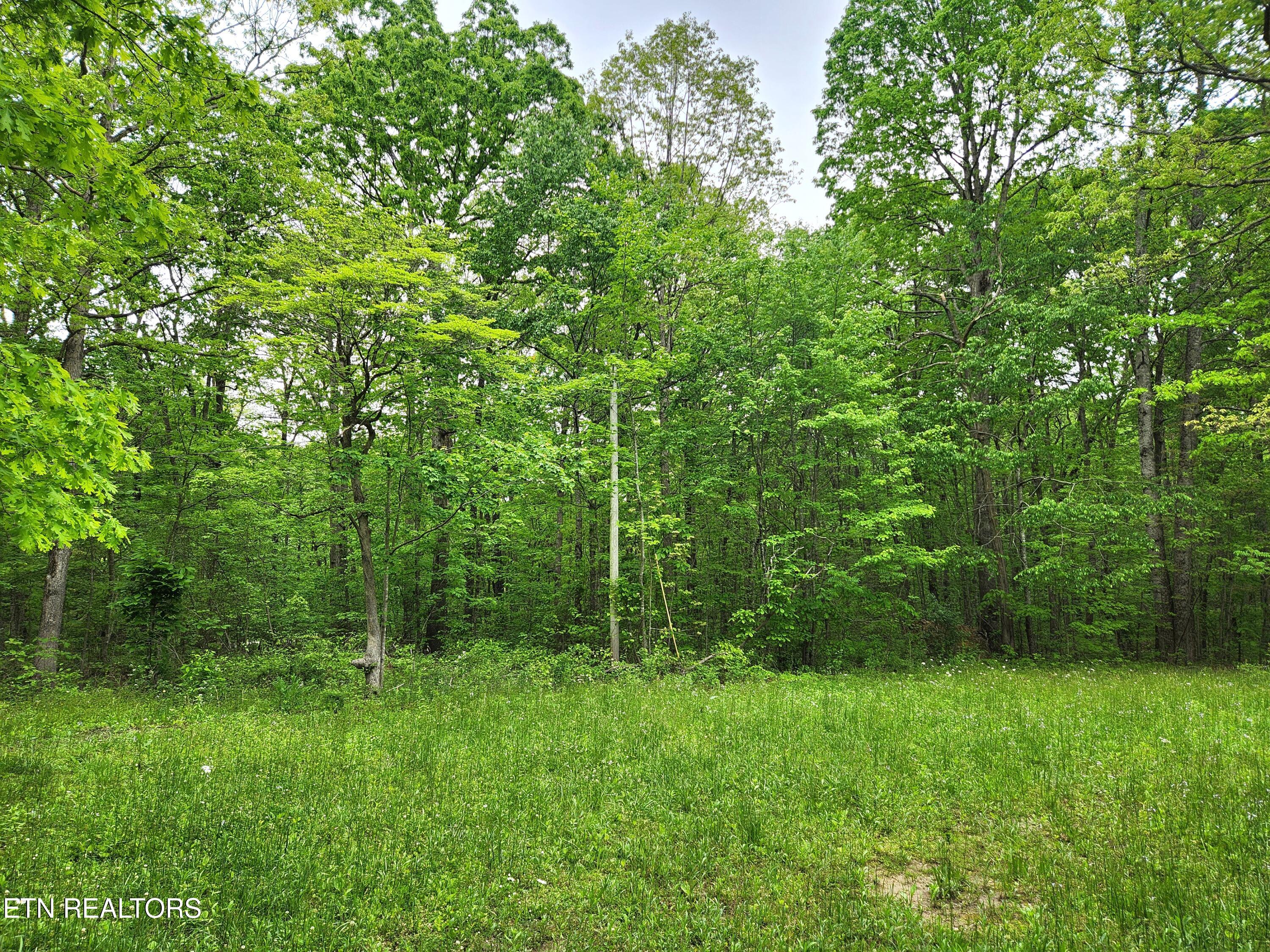 88 Critter Creek Crossville TN 38572