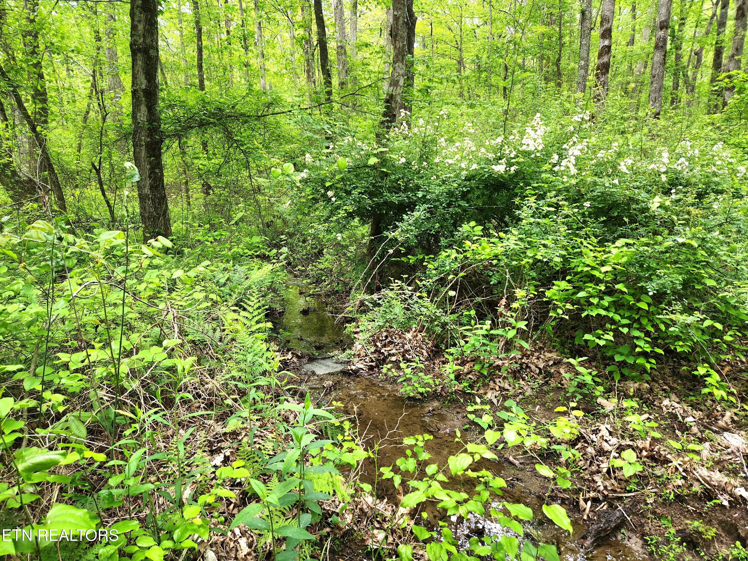 88 Critter Creek Crossville TN 38572