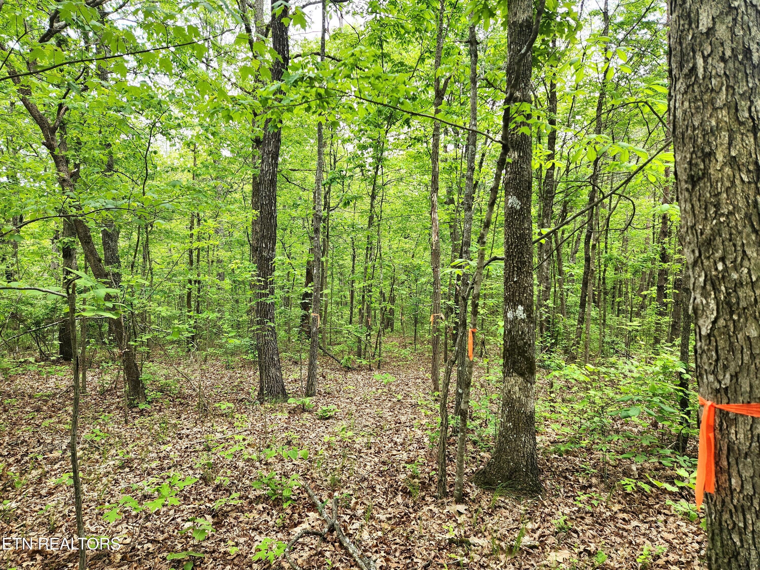 88 Critter Creek Crossville TN 38572