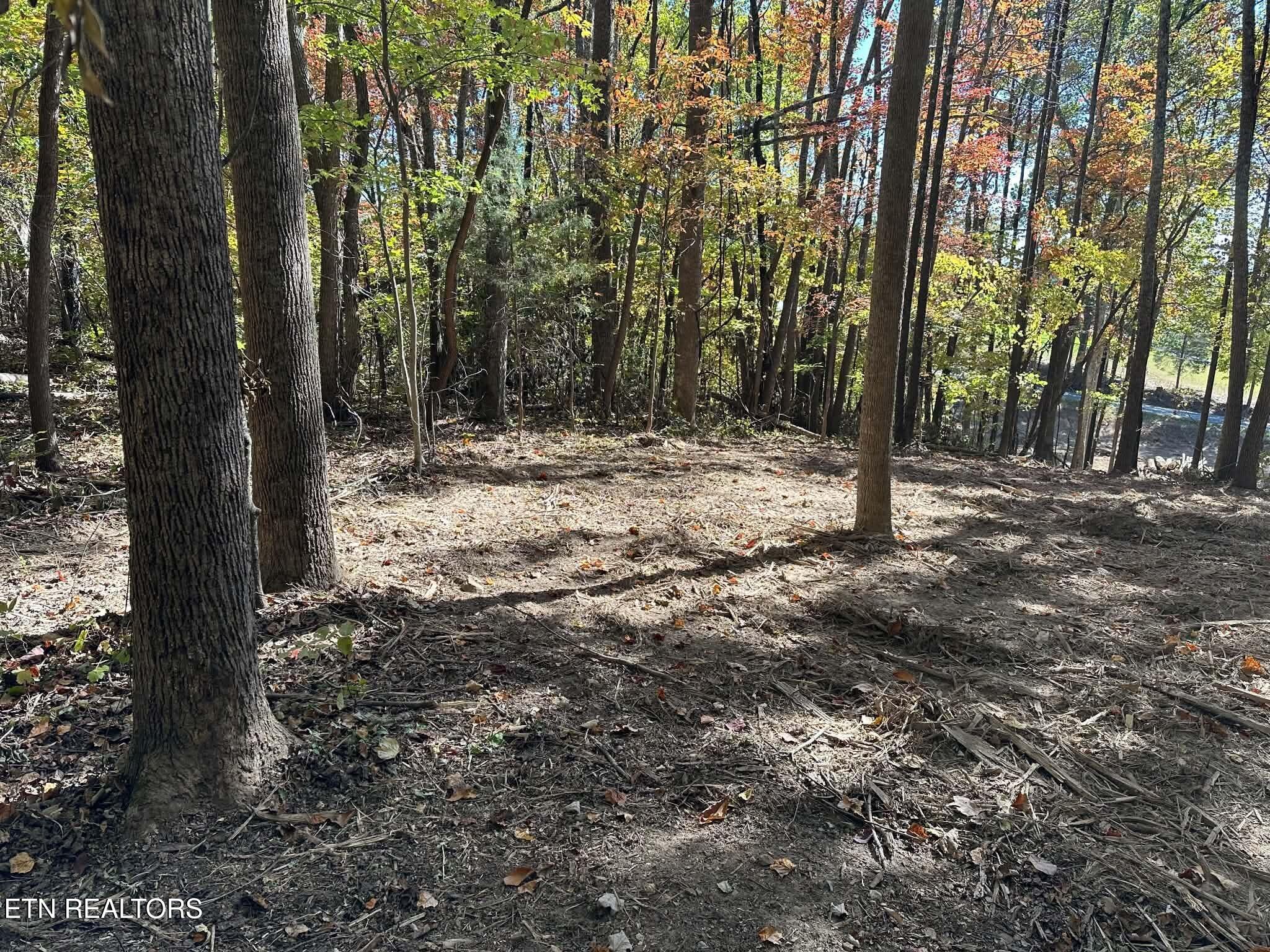 2150 New Corinth Road Rutledge TN 37861
