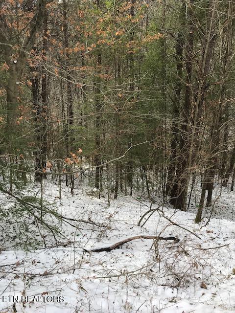 080 013.00 Buffalo Road Oneida TN 37841