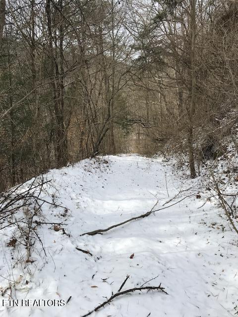 080 013.00 Buffalo Road Oneida TN 37841