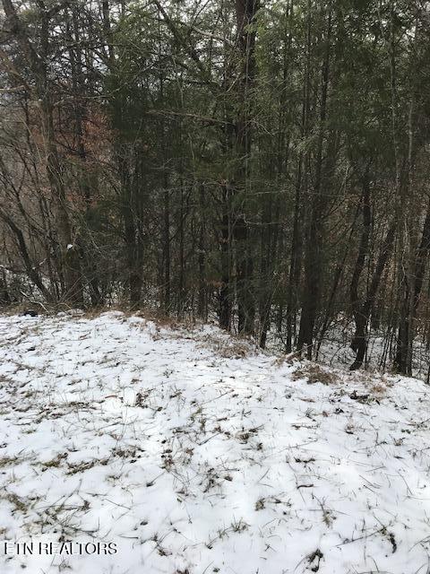 080 013.00 Buffalo Road Oneida TN 37841