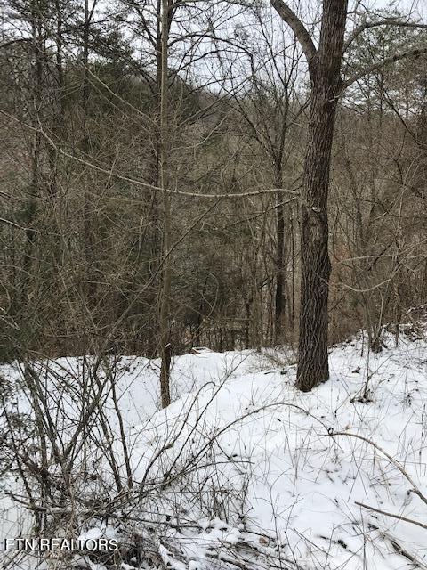 080 013.00 Buffalo Road Oneida TN 37841