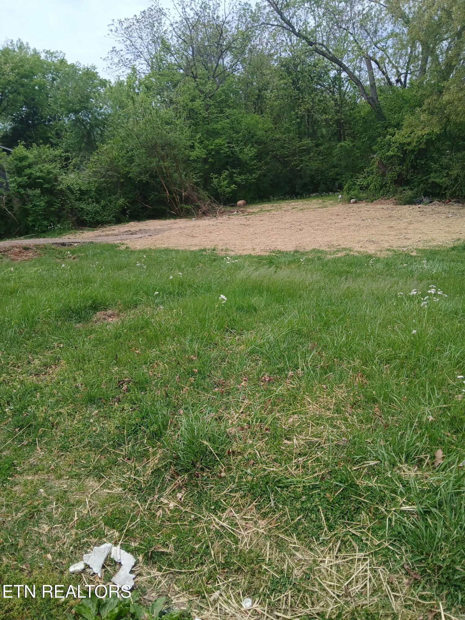 2919 Edgewood Avenue Knoxville TN 37917