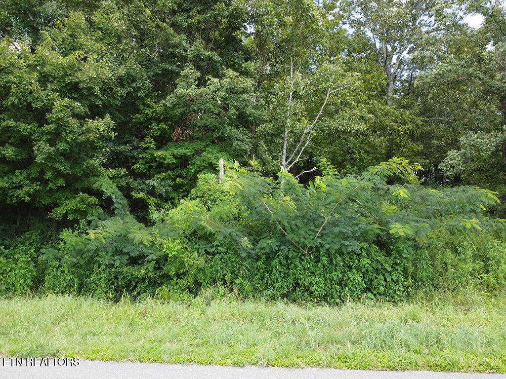 00 County Road 436 Athens TN 37303