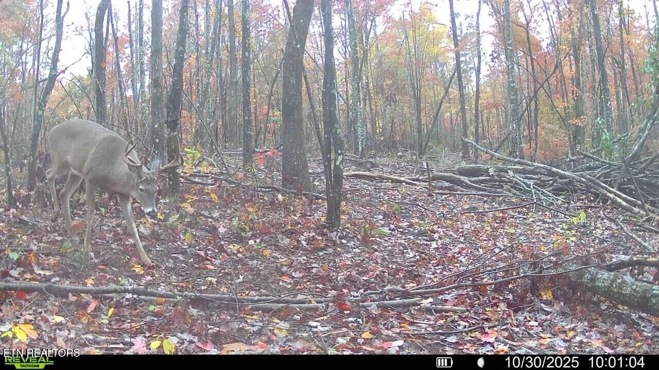 Tract A Coal Lane Monterey TN 38574