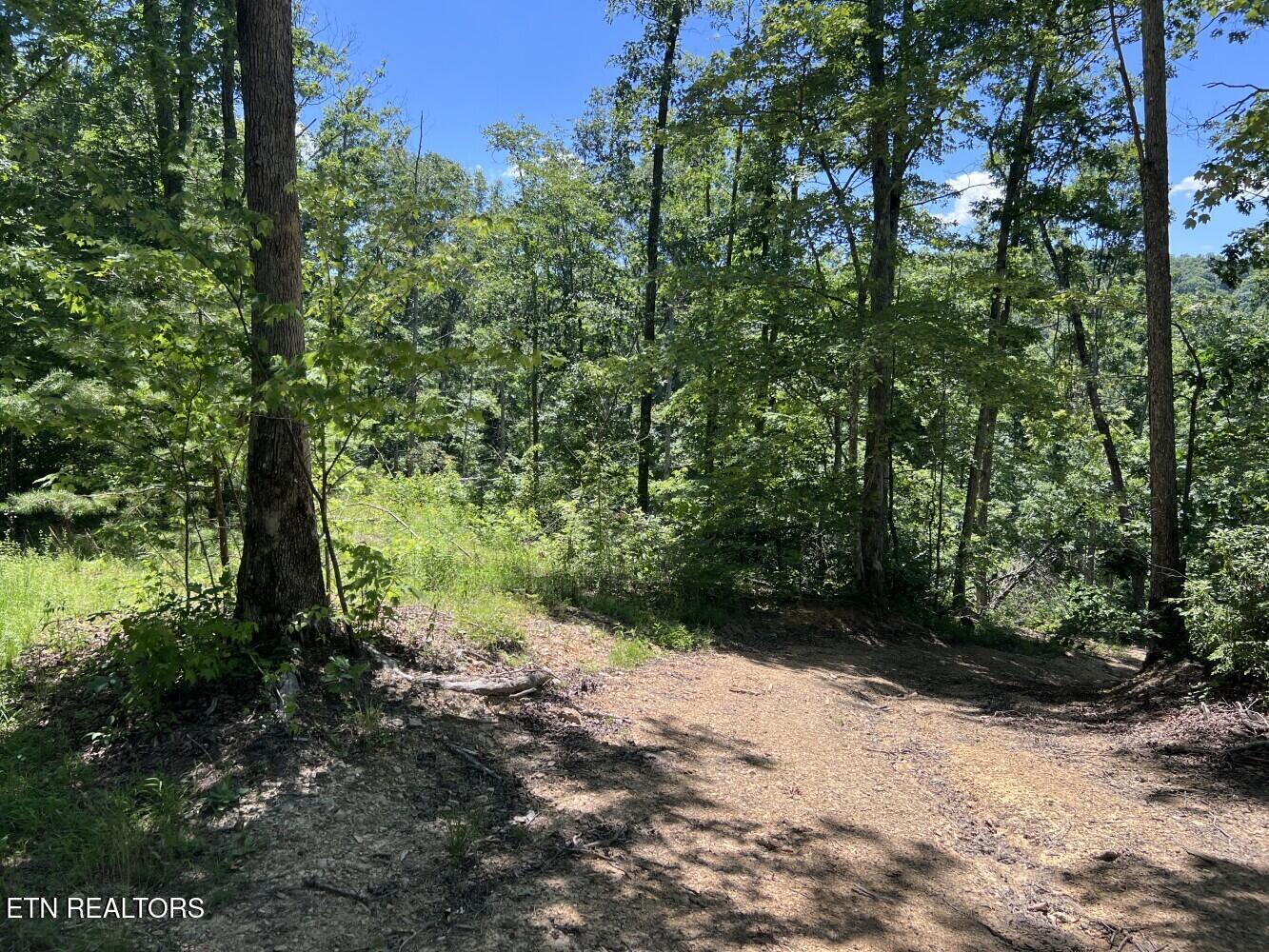 Tract A Coal Lane Monterey TN 38574