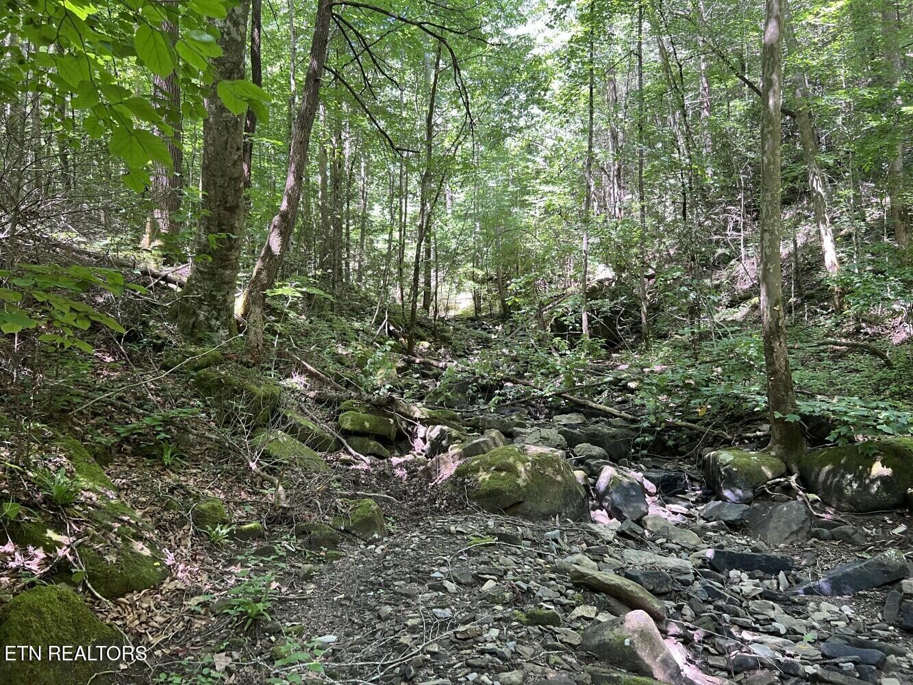 Tract A Coal Lane Monterey TN 38574