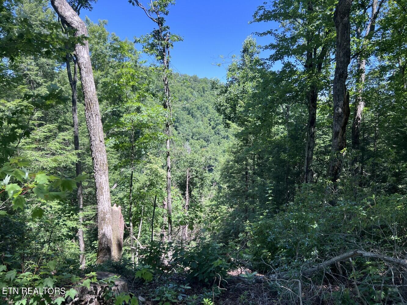 Tract A Coal Lane Monterey TN 38574