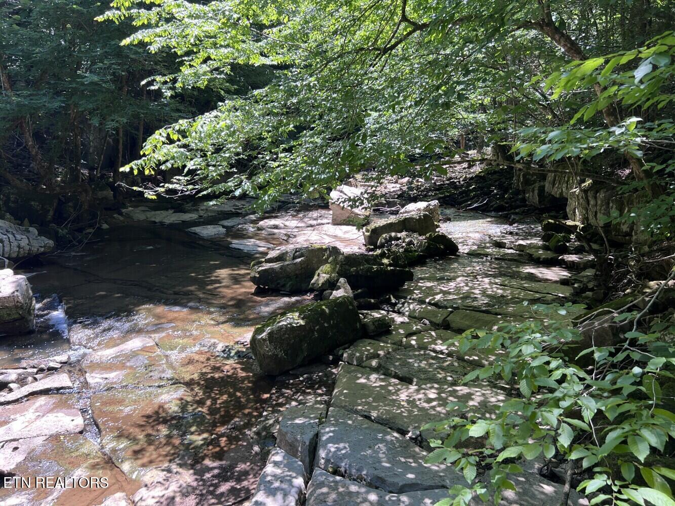 Tract A Coal Lane Monterey TN 38574