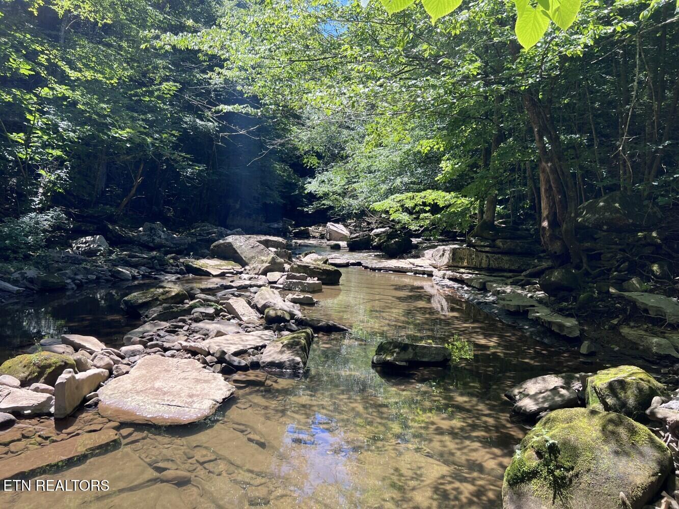 Tract A Coal Lane Monterey TN 38574