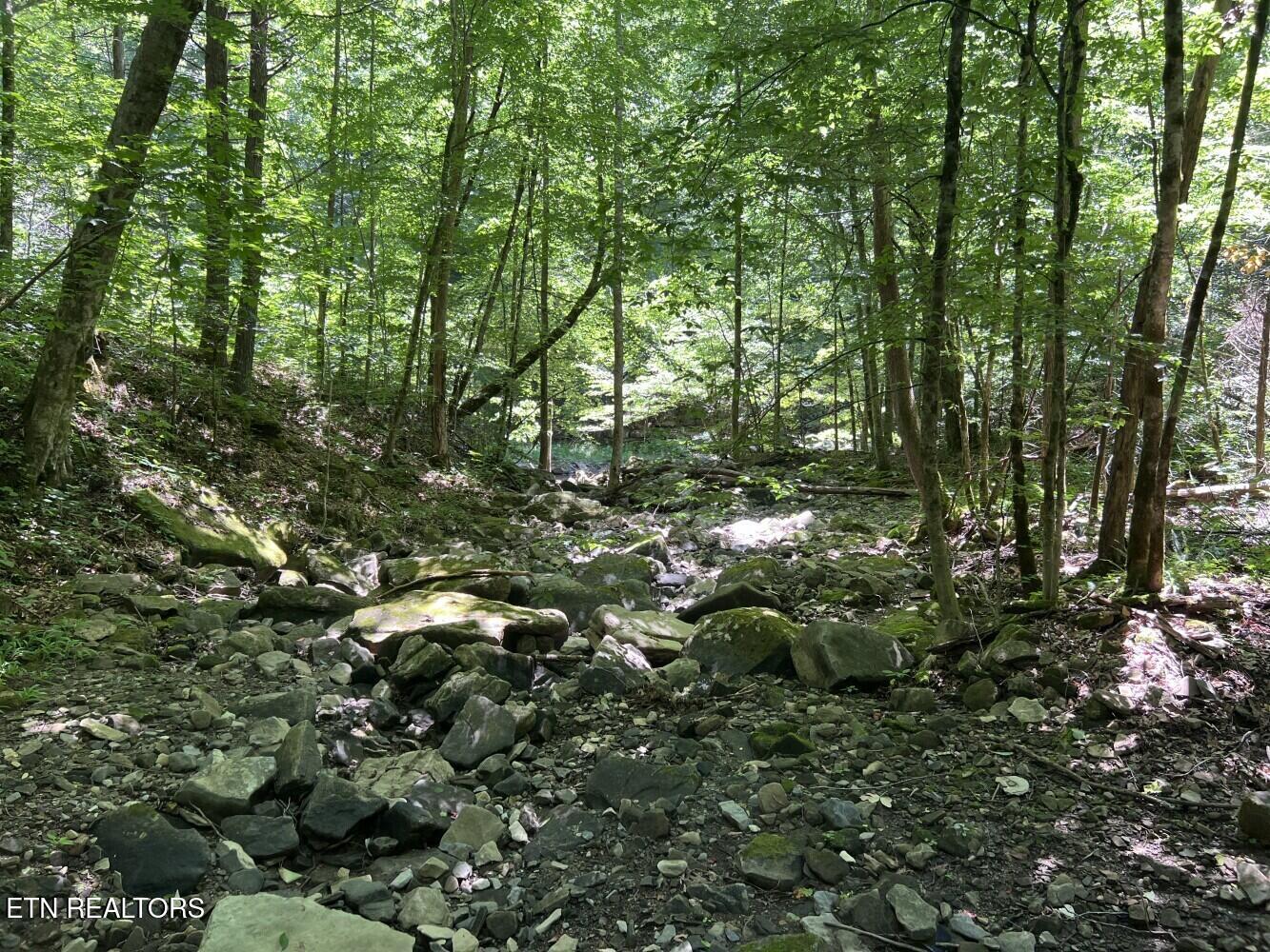 Tract A Coal Lane Monterey TN 38574