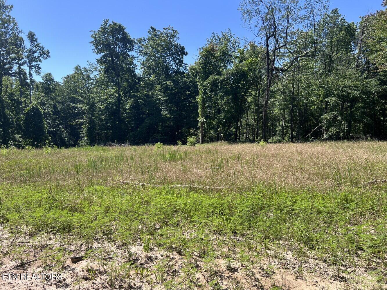 Tract A Coal Lane Monterey TN 38574