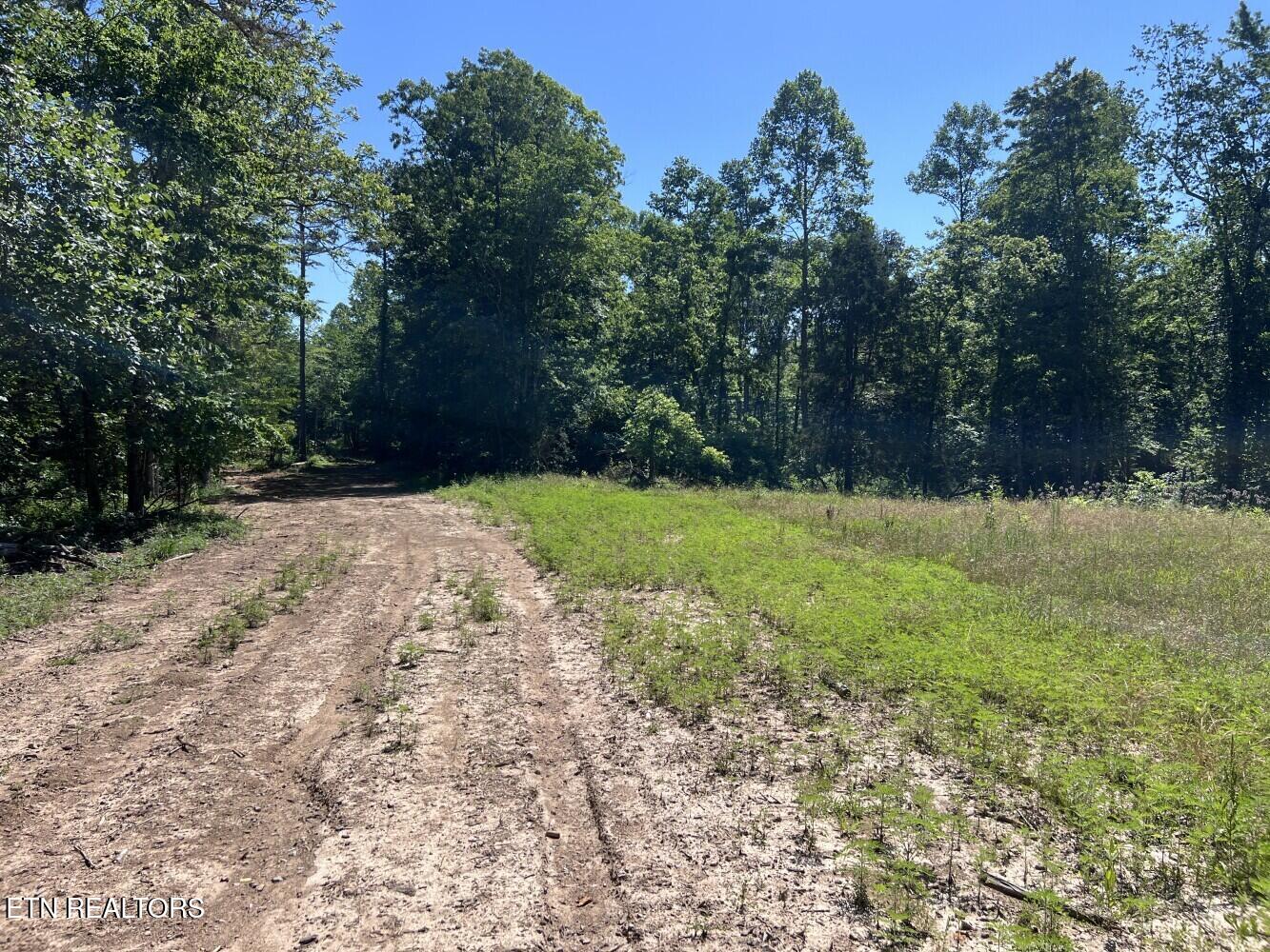Tract A Coal Lane Monterey TN 38574