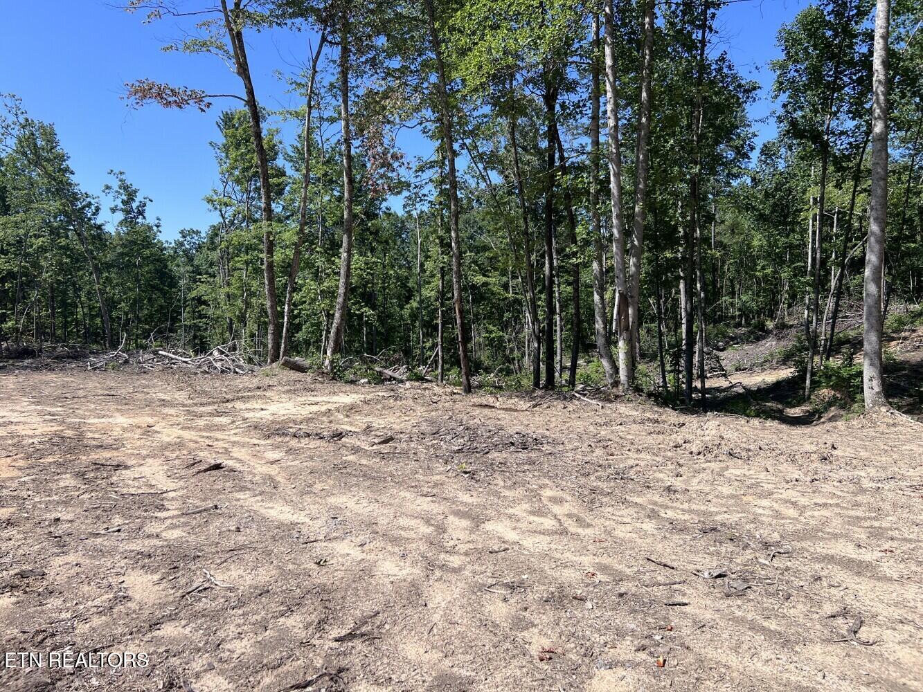 Tract A Coal Lane Monterey TN 38574