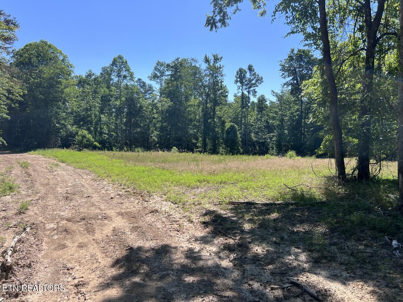 Tract A Coal Lane Monterey TN 38574