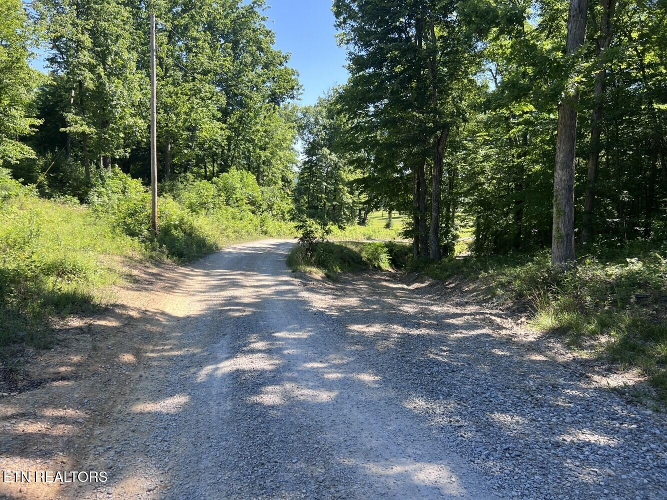Tract A Coal Lane Monterey TN 38574