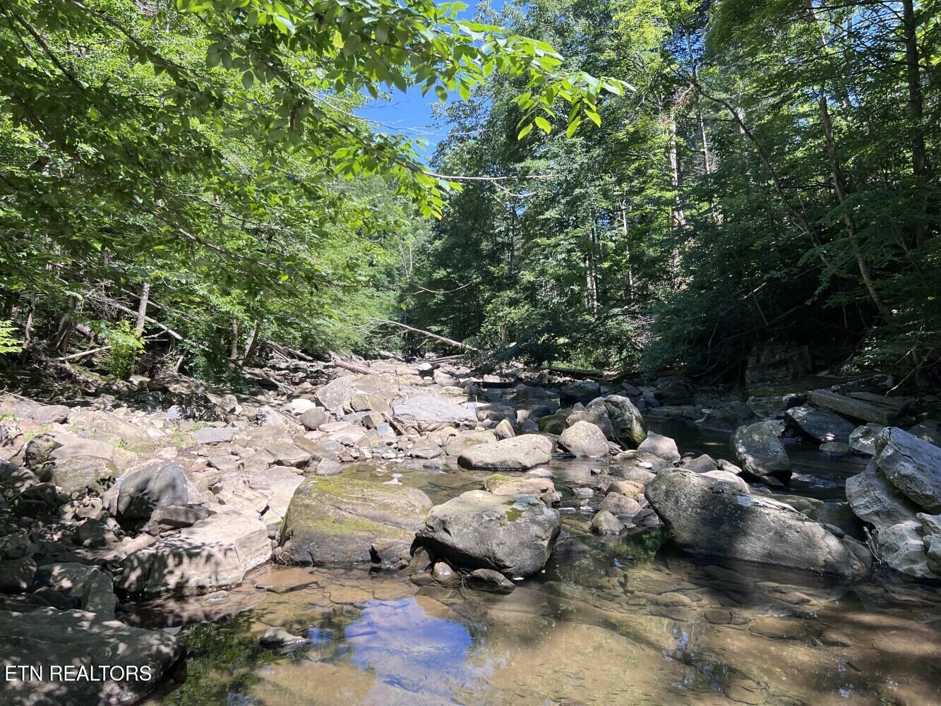 Tract A Coal Lane Monterey TN 38574