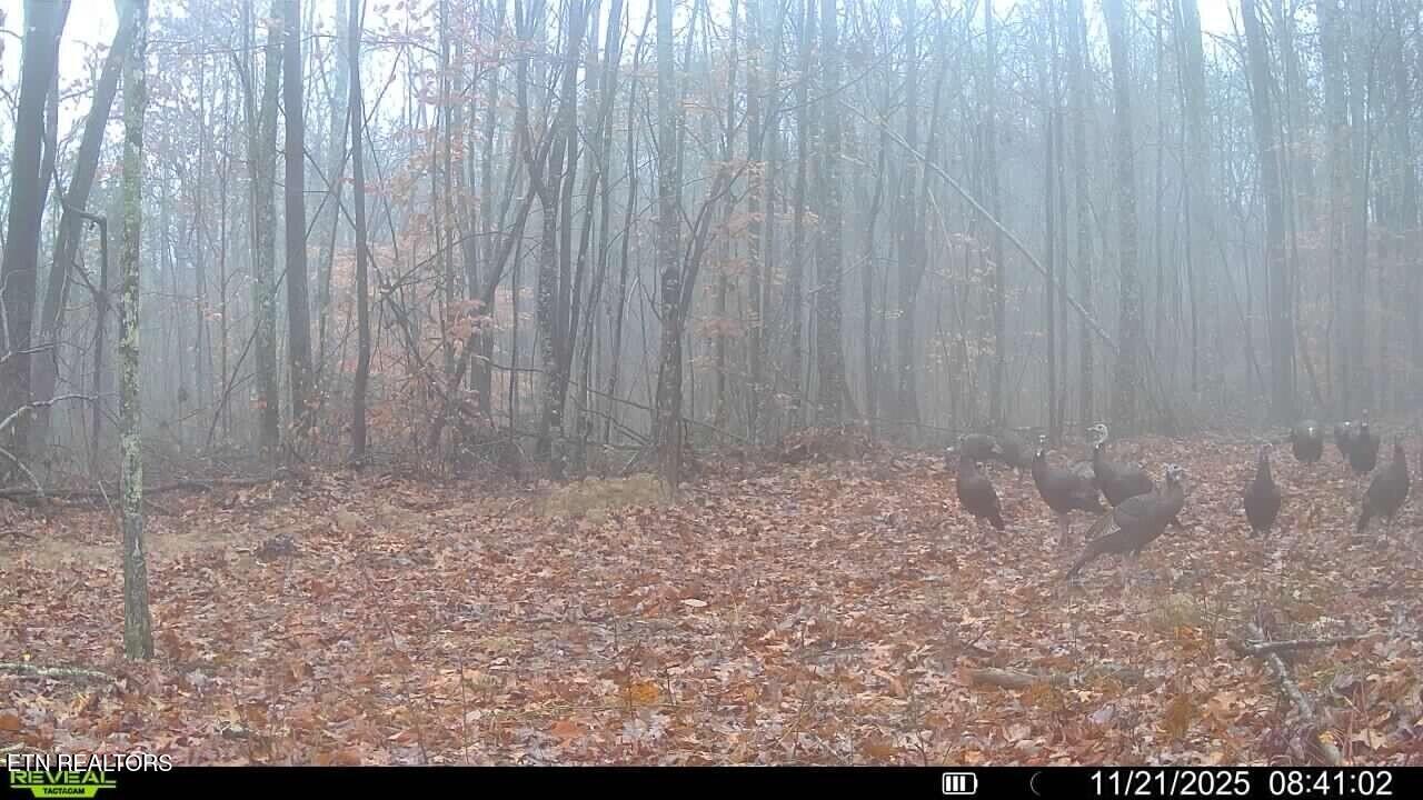 Tract A Coal Lane Monterey TN 38574