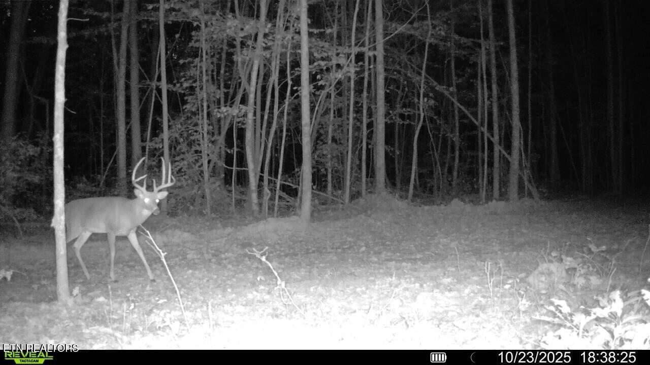 Tract A Coal Lane Monterey TN 38574