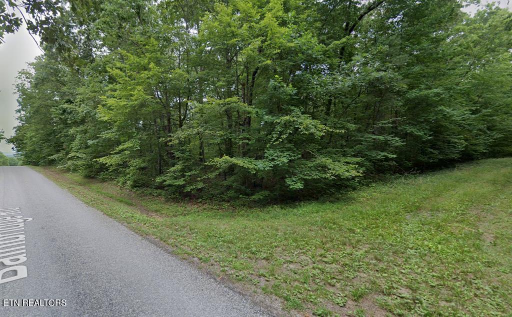 101 Rossmore Place Fairfield Glade TN 38558