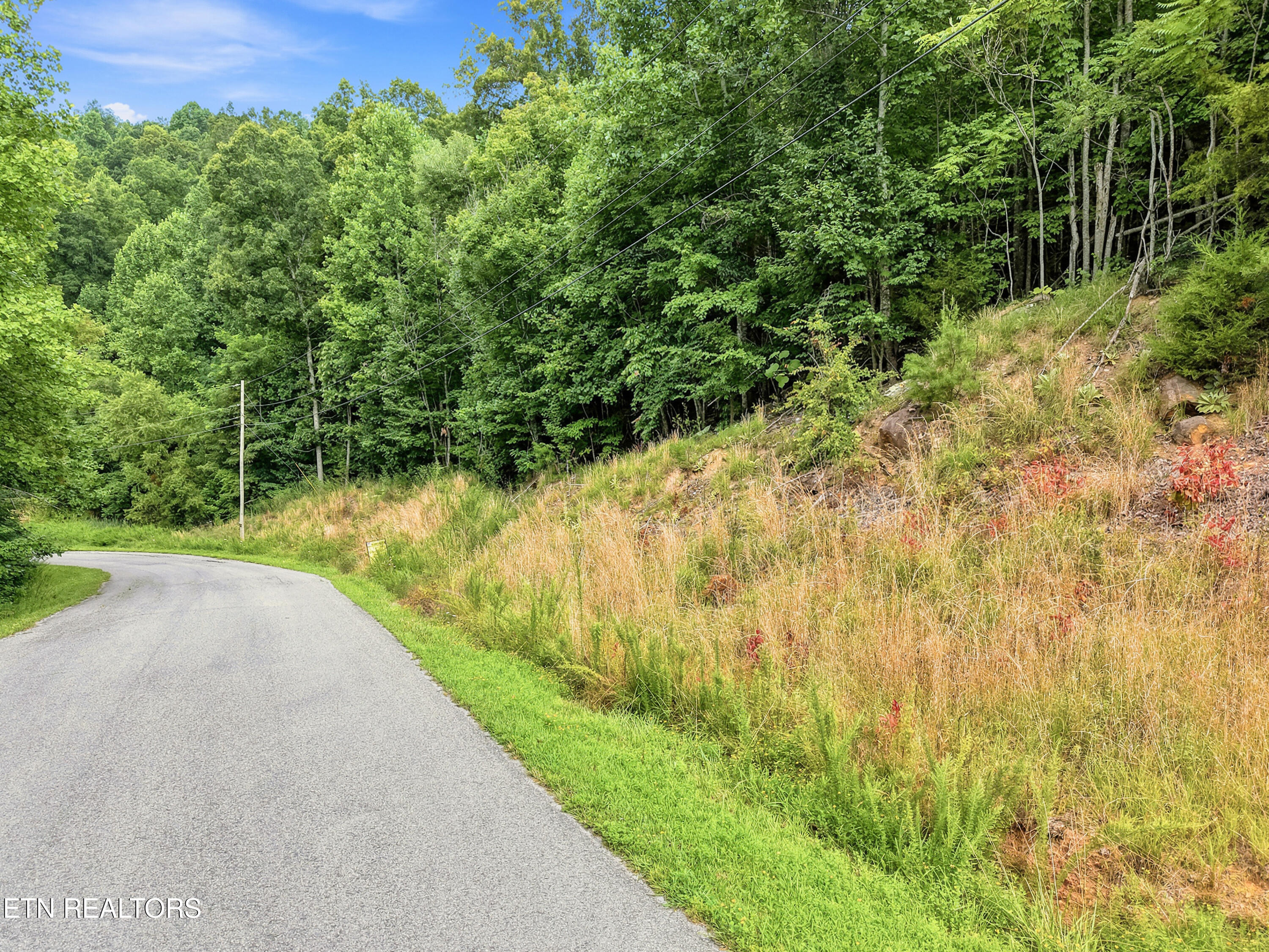 Chimney Rock Road New Tazewell TN 37825