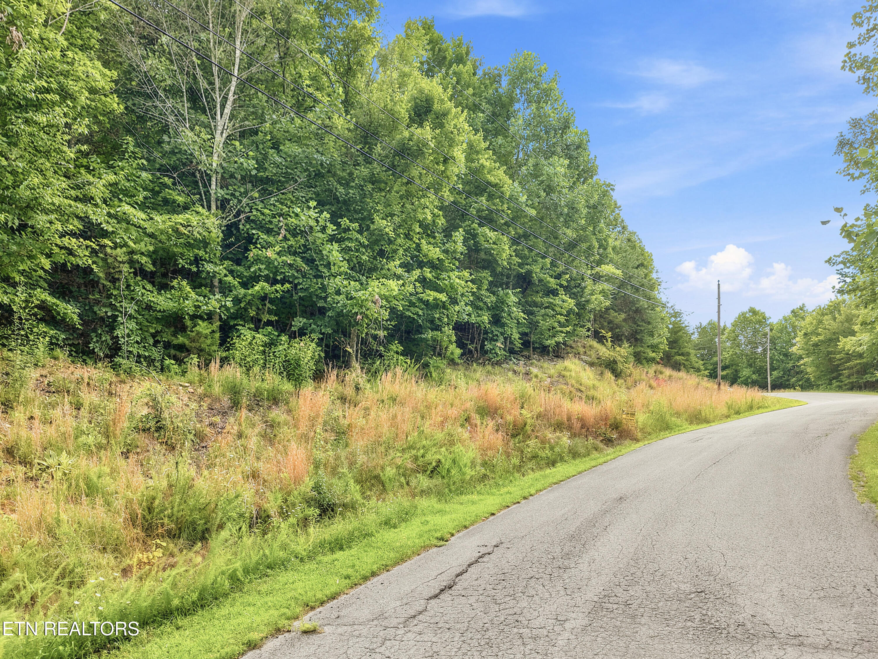 Chimney Rock Road New Tazewell TN 37825