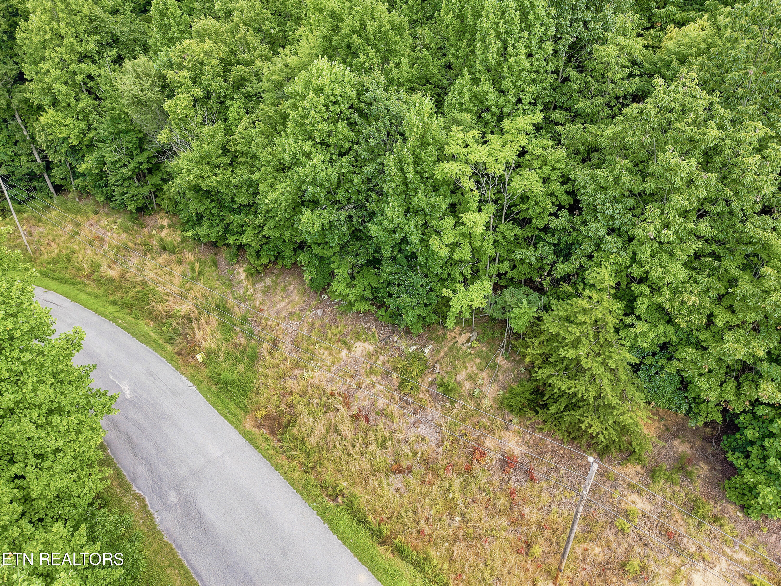 Chimney Rock Road New Tazewell TN 37825