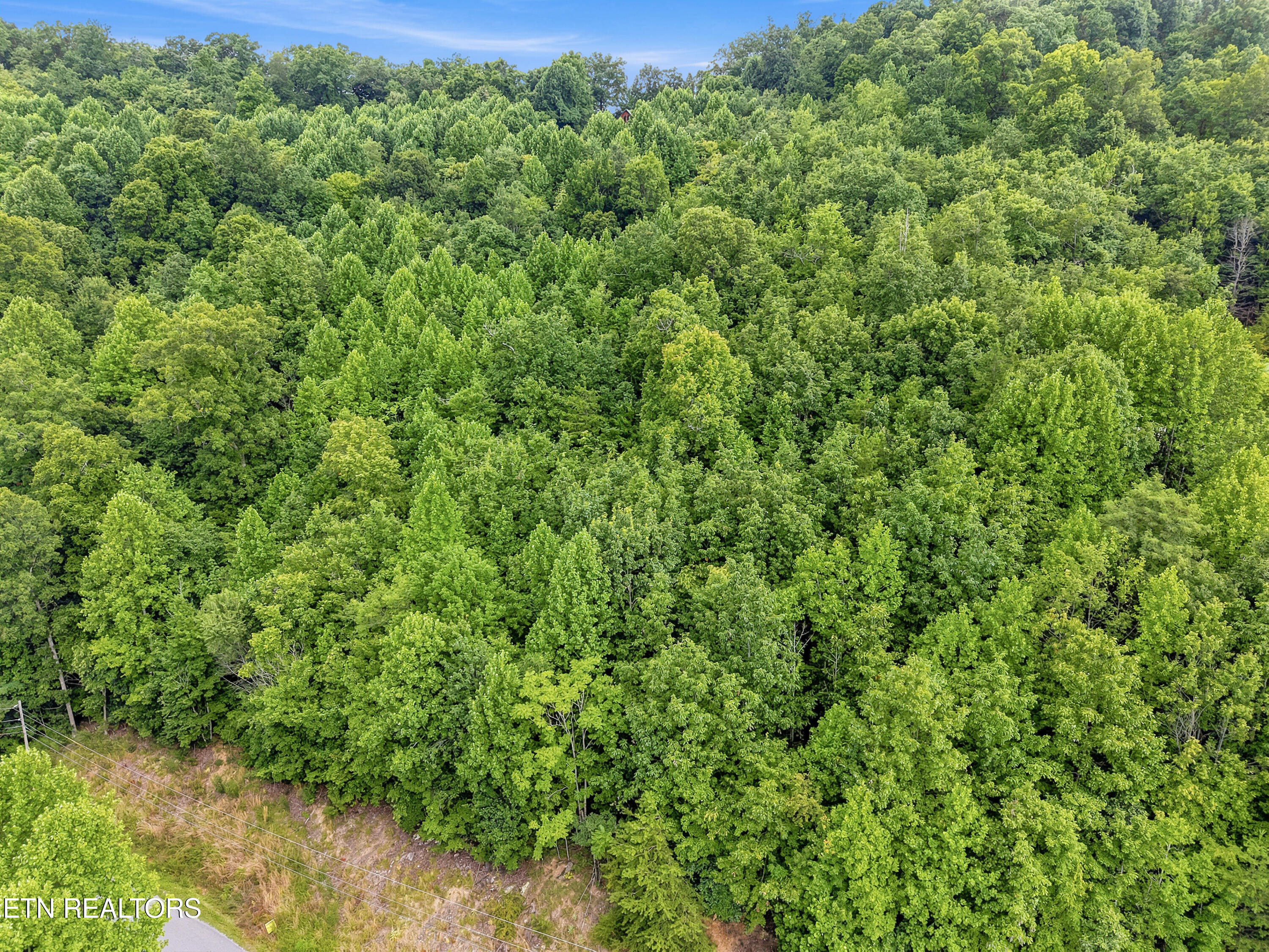 Chimney Rock Road New Tazewell TN 37825